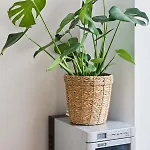 Arbio I 1a Rooms&apartments Prenzlauerberg Aparthotel