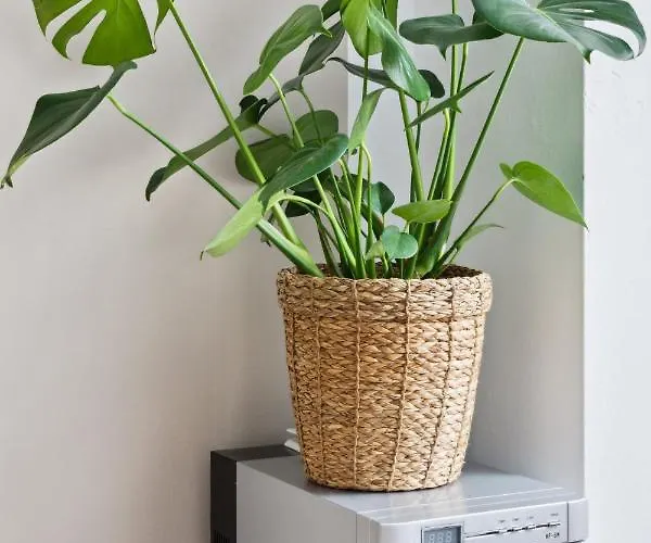 Arbio I 1a & Prenzlauerberg アパートホテル