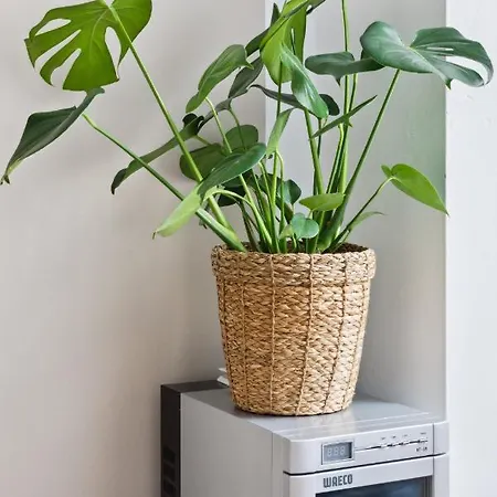 Arbio I 1a & Prenzlauerberg מלון דירות